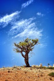 欧美成人片 欧美成人片